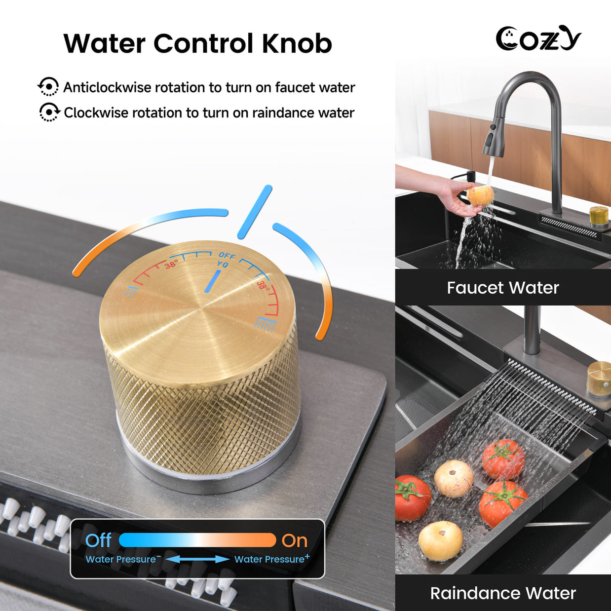 COZY Kitchen Sink (Local Pickup Only)