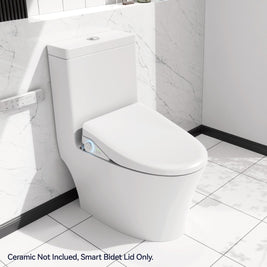 Smart Bidet SBWHO3