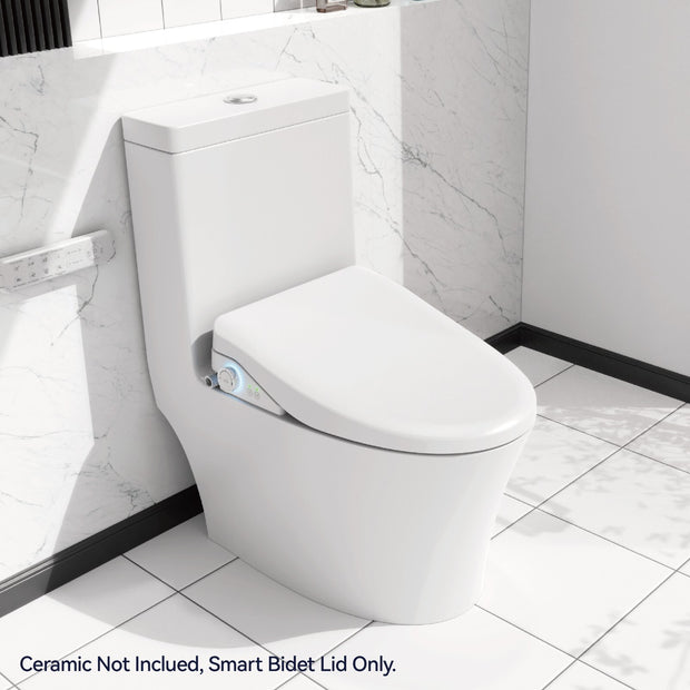 Smart Bidet SBWHO3