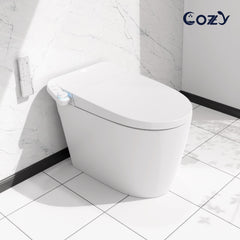 Smart Toilet WH08