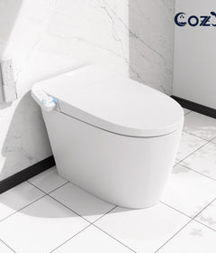 Smart Toilet WH08